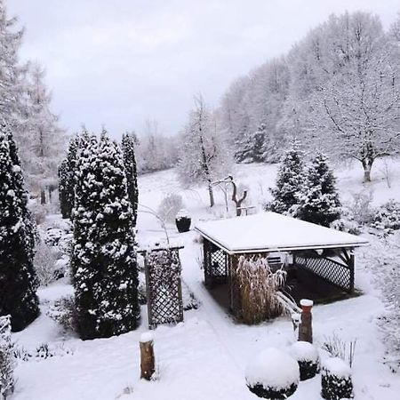 "Agroturystyka Pod Magnolia" Rybnica 33 Extérieur photo