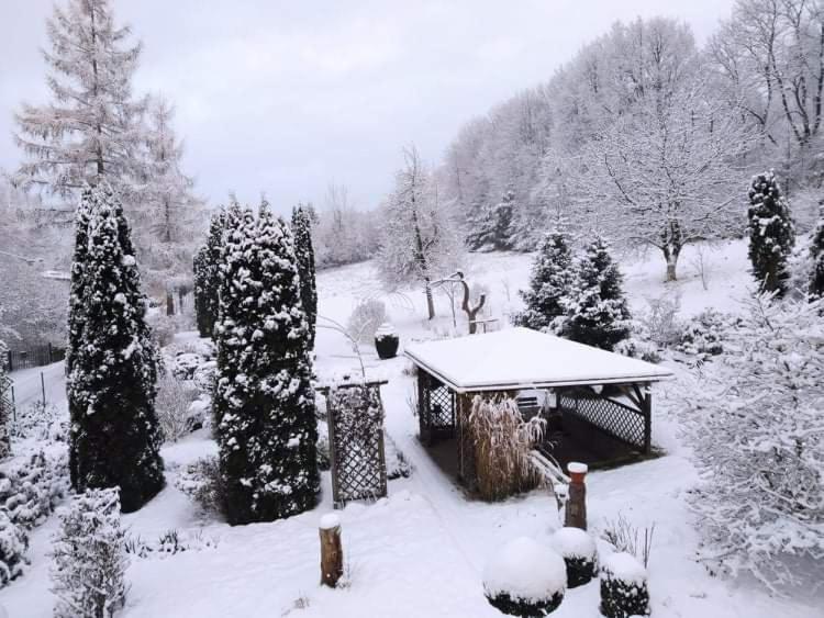 "Agroturystyka Pod Magnolia" Rybnica 33 Extérieur photo