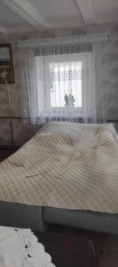"Agroturystyka Pod Magnolia" Rybnica 33 Extérieur photo